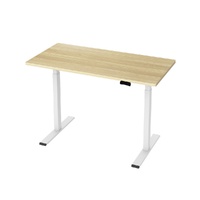 Standing Desk Motorised Dual Motor 120CM White Oak