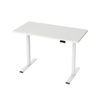 Standing Desk Motorised Dual Motor 120CM White