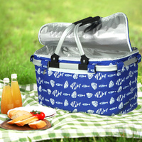 Folding Picnic Bag Basket Cooler Hamper Camping Hiking Insulated Lunch