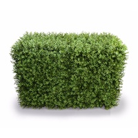 Deluxe Portable Buxus Hedges UV Stabilised