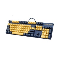 RAPOO V500 Pro Backlit Mechanical Gaming Keyboard - Spill Resistant, Metal Cover, Ideal for Entry Level Gamers