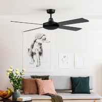 52'' Ceiling Fan w/Remote