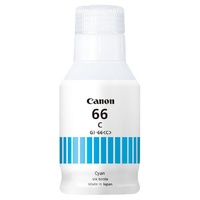 CANON GI66 Ink Bottle