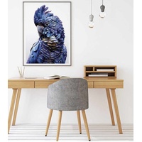 Black Cockatoo A Black Frame Canvas Wall Art