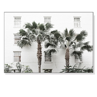 Palm Tree White Frame Canvas Wall Art