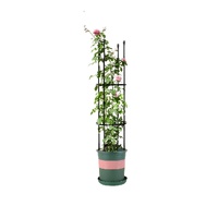 4-Bar Plant Frame Stand Trellis Vegetable Flower Herbs Outdoor Vine Support Garden Rack with Rings