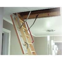 Attic Loft Ladder