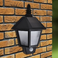 Solar Wall Lamp with Motion Sensor