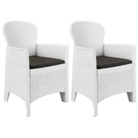 Garden Chairs 2 pcs with Cushion Plastic Rattan Look