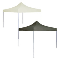 Professional Folding Party Tent 2x2 m Steel