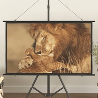 Projection Screen