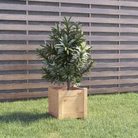 Garden Planter 31x31x31 cm Solid Pinewood