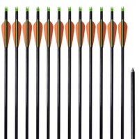 Standard Compound Bow Arrows 30" Fiberglass 12 pcs