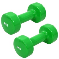 Dumbbell 2 pcs Cast Iron