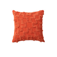 Accessorize Janni Filled Square Cushion