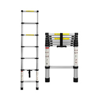  Multipurpose Ladder Telescopic 2M Silver 2 Meter