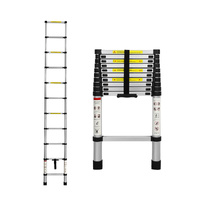  Multipurpose Ladder Telescopic 3.2M Silver 3.2 Meter