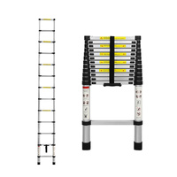  Multipurpose Ladder Telescopic 3.8M Silver 3.8 Meter