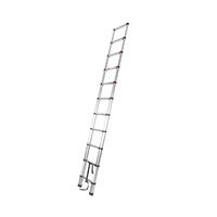  Telescopic Ladder Slow Down Silver 3.2 Meter