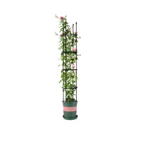 163cm 4-Bar Plant Frame Stand Trellis Vegetable Flower Herbs Outdoor Vine Support Garden Rack with Rings