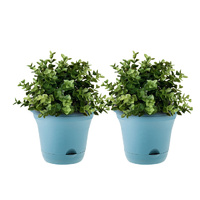 19.5 cm Blue Plastic Plant Pot Self Watering Planter Flower Bonsai Outdoor Garden Decor Set of 2