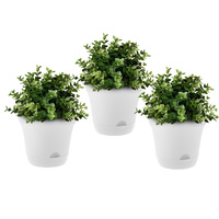 19.5 cm White Plastic Plant Pot Self Watering Planter Flower Bonsai Indoor Outdoor Garden Decor Set of 3