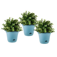 19.5 cm Blue Plastic Plant Pot Self Watering Planter Flower Bonsai Indoor Outdoor Garden Decor Set of 3