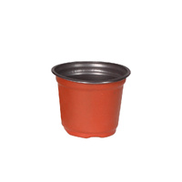  100x Plastic Plant Pots Bulk Flowers Small