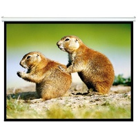 Brateck Manual Projector Screen 2.0x1.5m 4:3 ratio Self locking