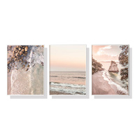 Wall Art 40cmx60cm Amazing Newzealand 3 Sets White Frame Canvas