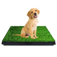 Pet Grass Training Potty Set with 2 Piece Grass Mat