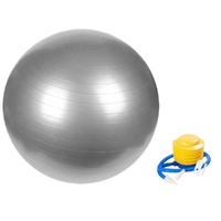 Yoga Ball 65cm (Silver)