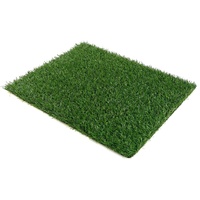 Pet Grass Mat 1 Piece