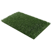 2 x Grass replacement only for Dog Potty Pad 58 x 39 cm