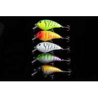 5x 8.5cm Popper Crank Bait Fishing Lure Lures Surface Tackle Saltwater