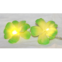 1 Set of 20 LED Green Frangipani Flower Battery String Lights Christmas Gift Home Wedding Party Decoration Outdoor Table Garland Wreath