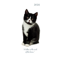 Cute Kittens - 2024 Flexi Pocket Diary Premium Planner Christmas New Year Gift