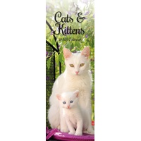 Cats & Kittens - 2024 Slimline Slim Wall Calendar Hanging Planner New Year Gift