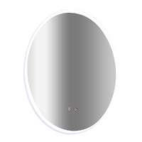 Oval Mirror LED Anti-Fog Illuminated Bathroom Living Room