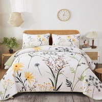 Decorative Quilted Coverlet and Pillowcases Set: Elevate Your Home Decor - Queen size