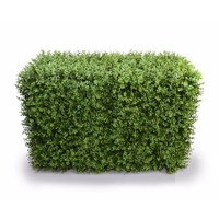 Deluxe Portable Buxus Hedges UV Stabilised 100cm Long X 55cm High