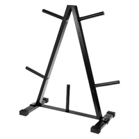 Powertrain Weight Plates Storage Rack