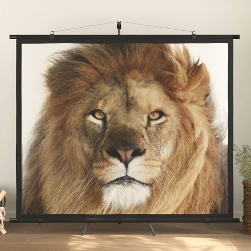 Projection Screen 90" 4:3