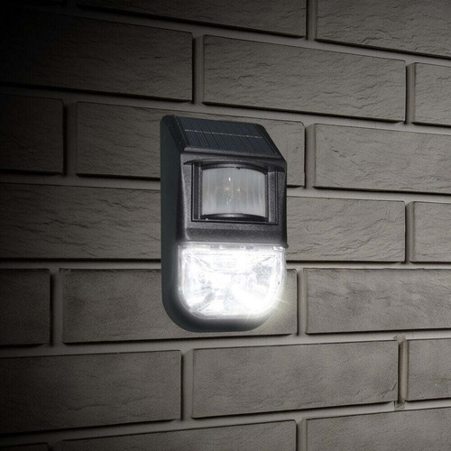 Solar Motion Sensor Light.