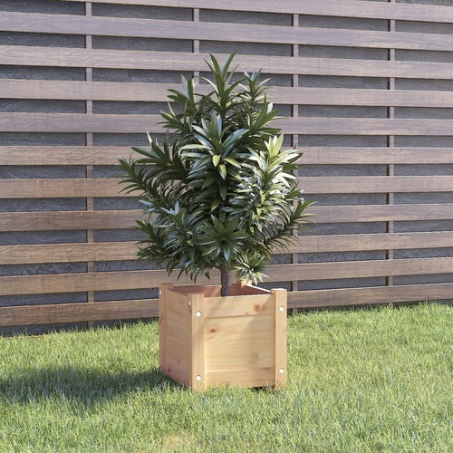 Garden Planter 31x31x31 cm Solid Pinewood