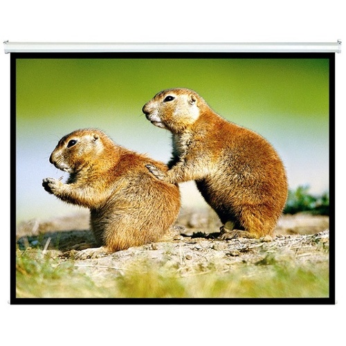 Brateck Manual Projector Screen 2.0x1.5m 4:3 ratio Self locking