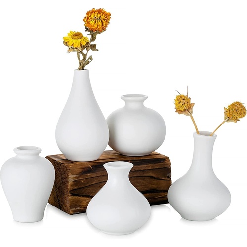 Ceramic Set of 5 White Vases for Home D?cor