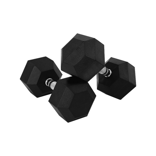 Rubber Hex Dumbbells 10kg x 2