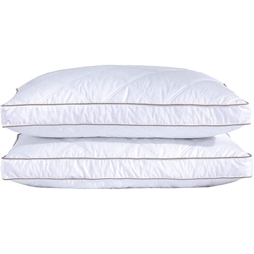 2 x King Size Pillow with free 2 x King pillow cases