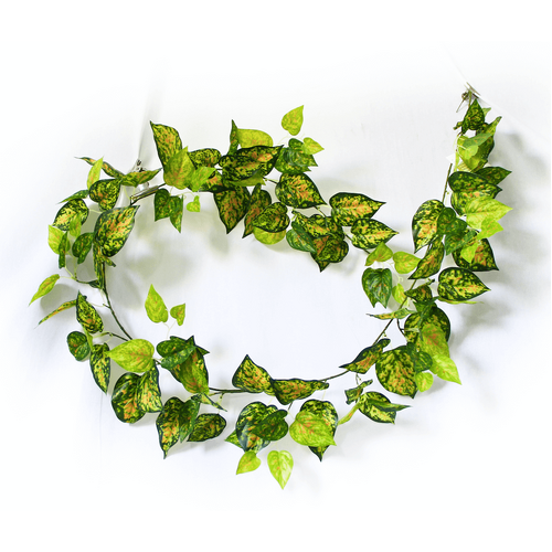 Mixed Yellow and Red Pothos Garland 190cm